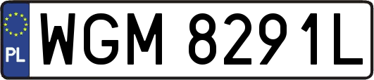 WGM8291L