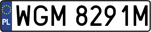 WGM8291M