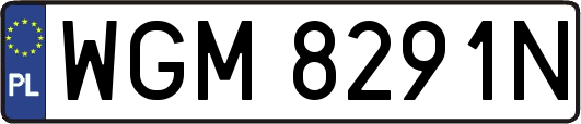 WGM8291N