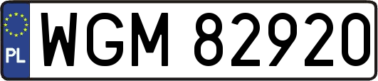 WGM82920