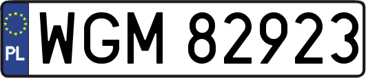 WGM82923