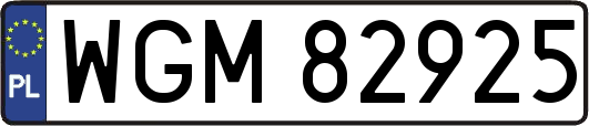 WGM82925