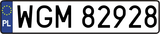 WGM82928