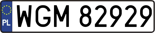 WGM82929