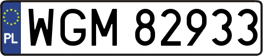 WGM82933