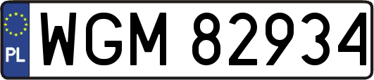 WGM82934
