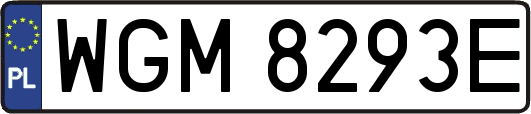 WGM8293E