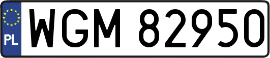 WGM82950