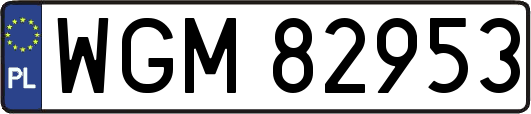 WGM82953