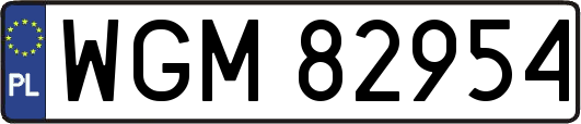 WGM82954