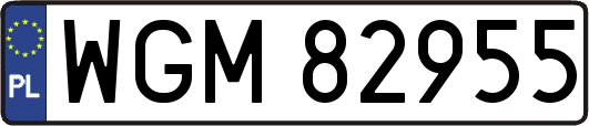 WGM82955