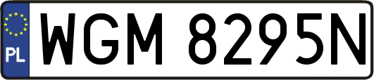 WGM8295N