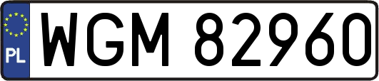 WGM82960