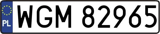 WGM82965