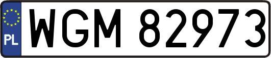 WGM82973