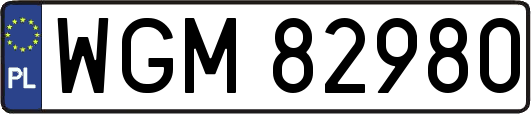 WGM82980