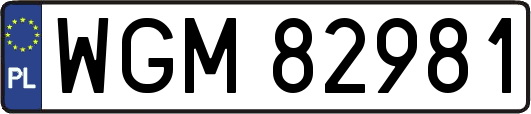 WGM82981