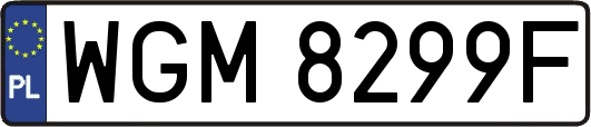 WGM8299F