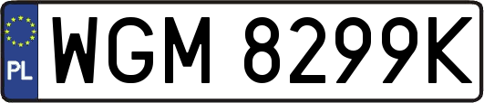 WGM8299K