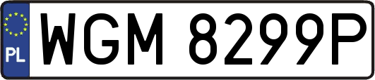 WGM8299P