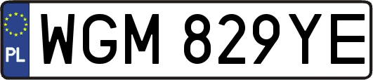 WGM829YE