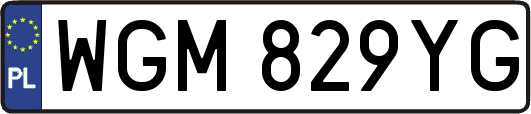 WGM829YG