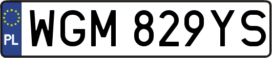 WGM829YS