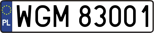 WGM83001