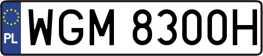 WGM8300H