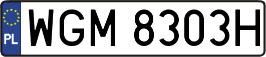 WGM8303H