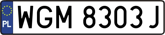 WGM8303J