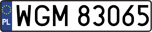 WGM83065