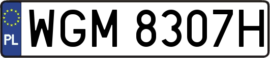 WGM8307H