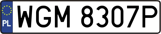 WGM8307P