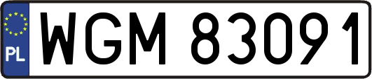 WGM83091