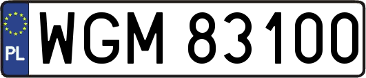 WGM83100