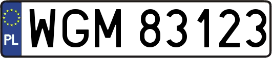 WGM83123