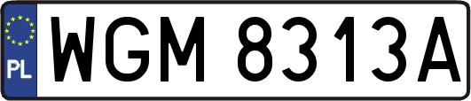 WGM8313A