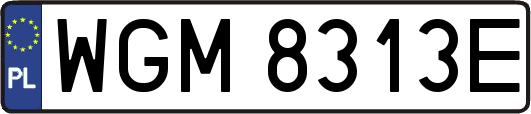 WGM8313E