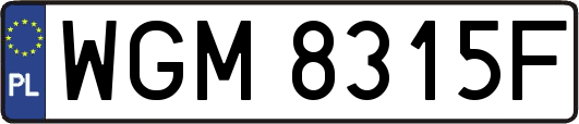 WGM8315F