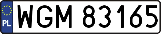 WGM83165