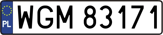 WGM83171