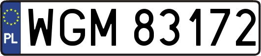 WGM83172