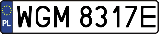 WGM8317E