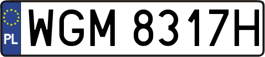 WGM8317H