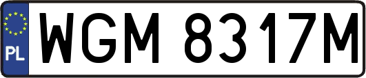 WGM8317M