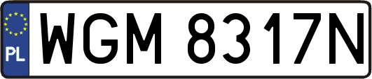 WGM8317N