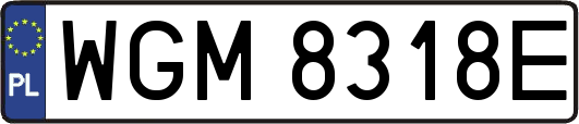 WGM8318E
