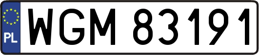 WGM83191
