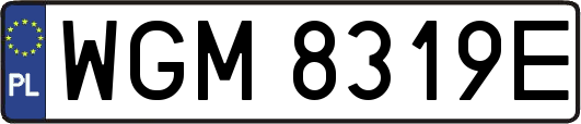 WGM8319E